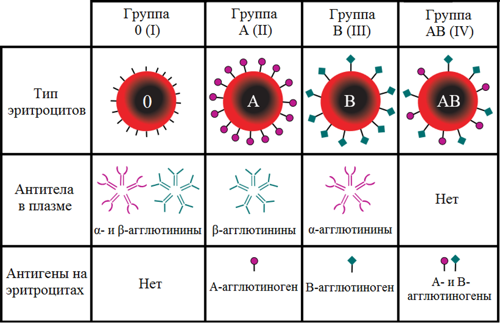 Схема. 1 <a href=